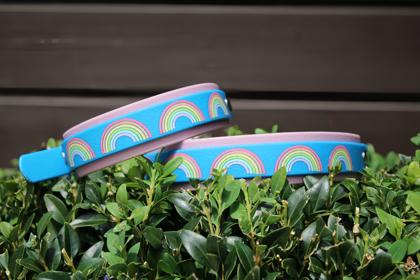Rainbow Splash Collar