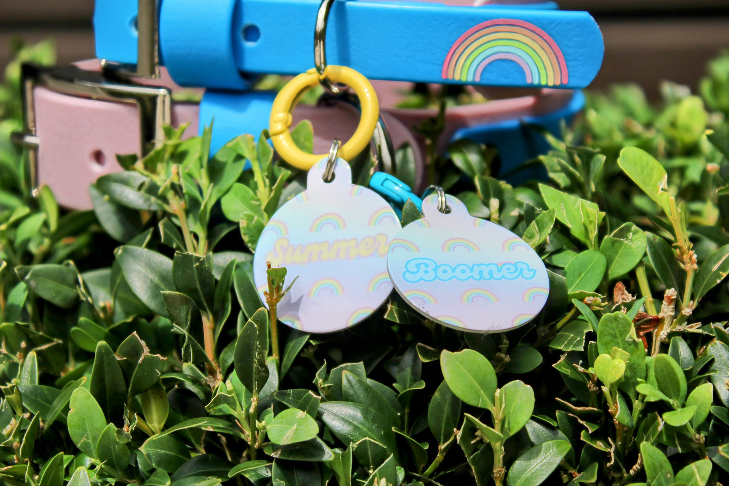 Rainbow Tag