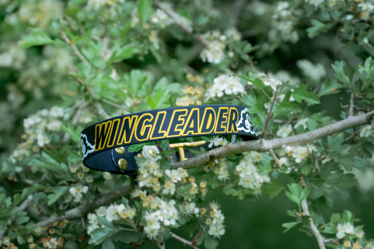Wingleader Collar