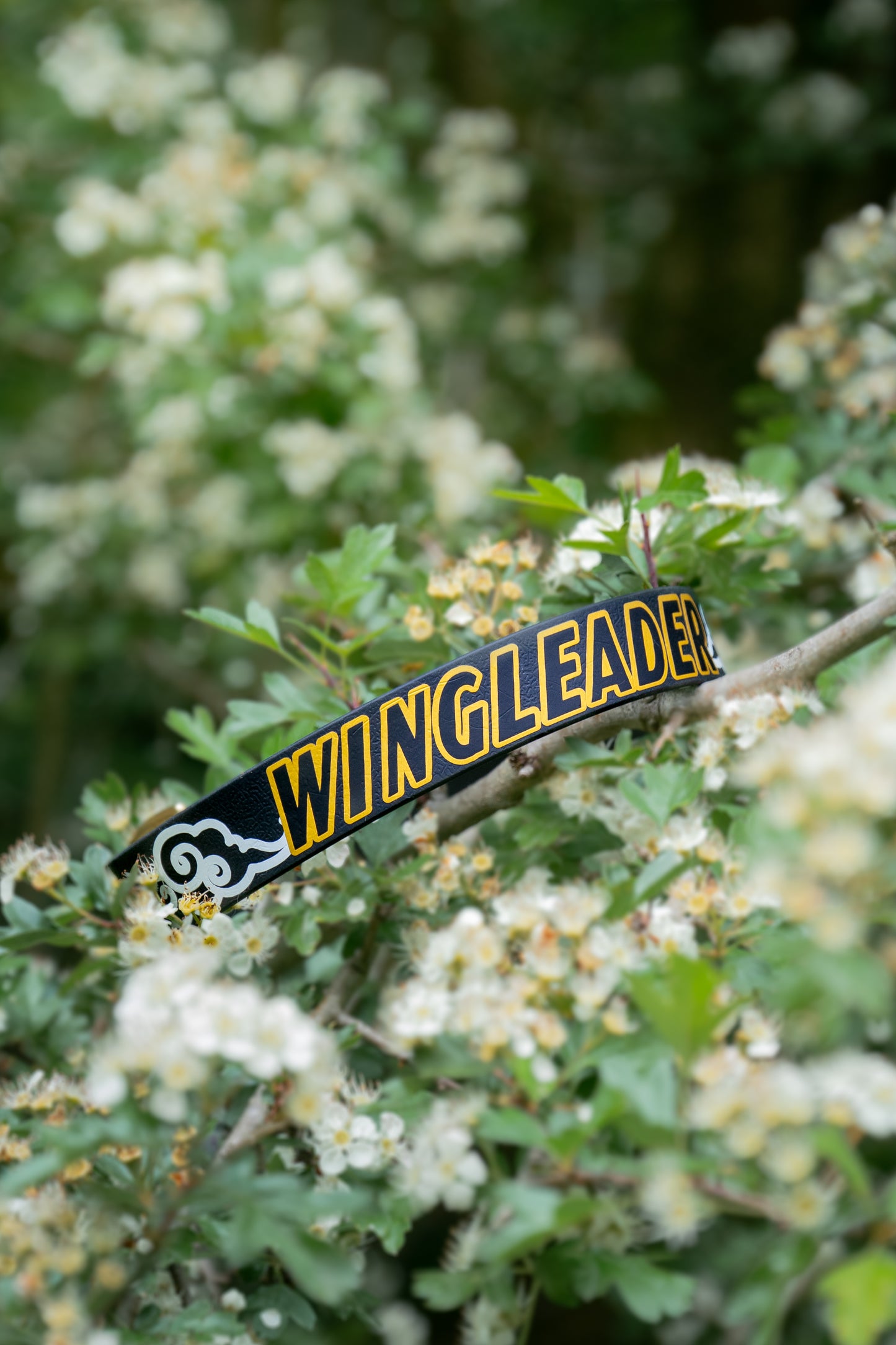 Wingleader Collar