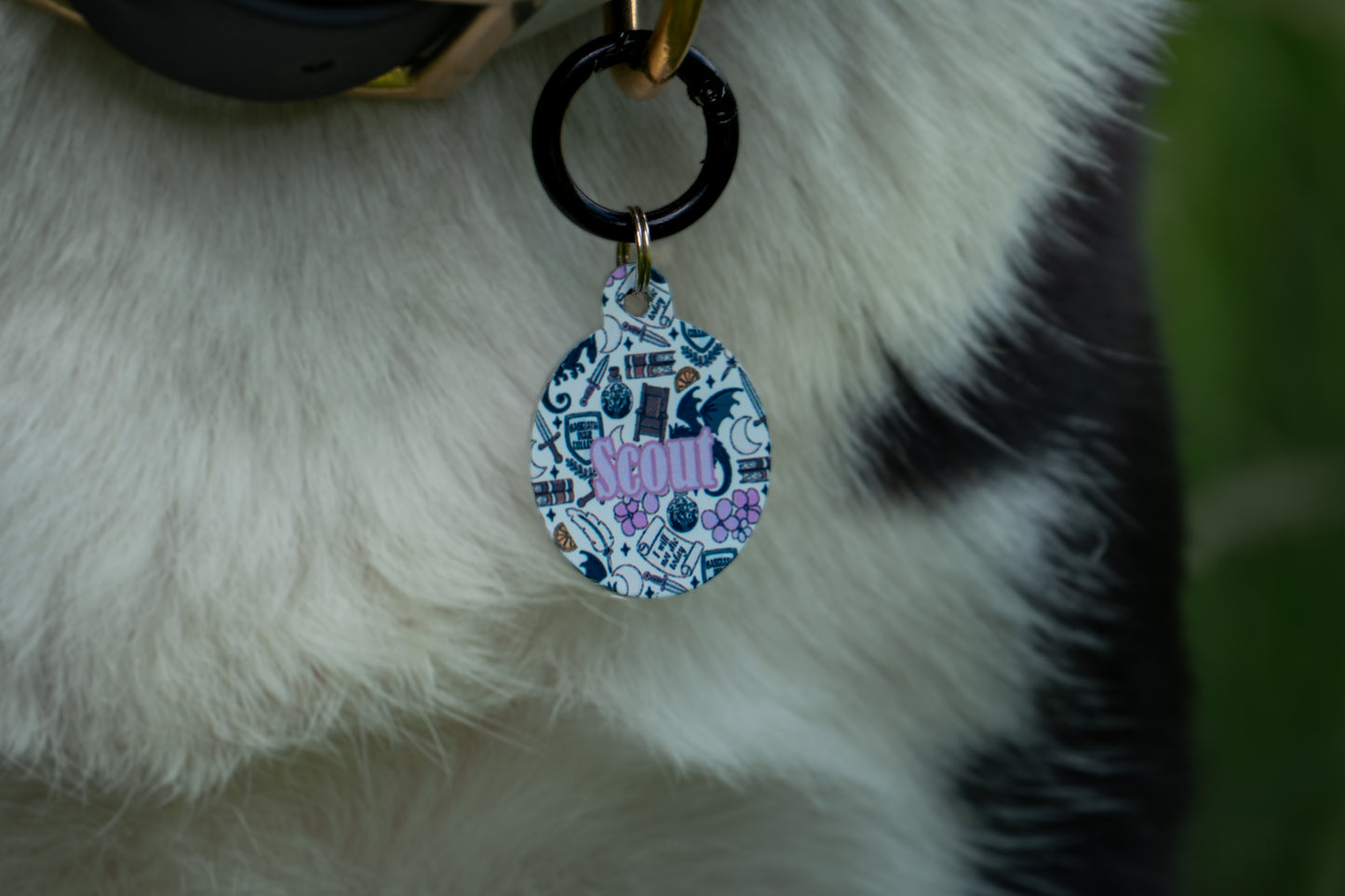 Dragon Rider Tag