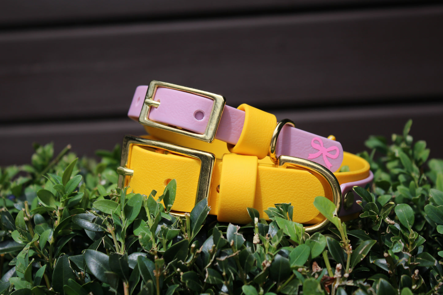 Little Lemon Collar