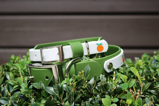 Orange Dreams Collar