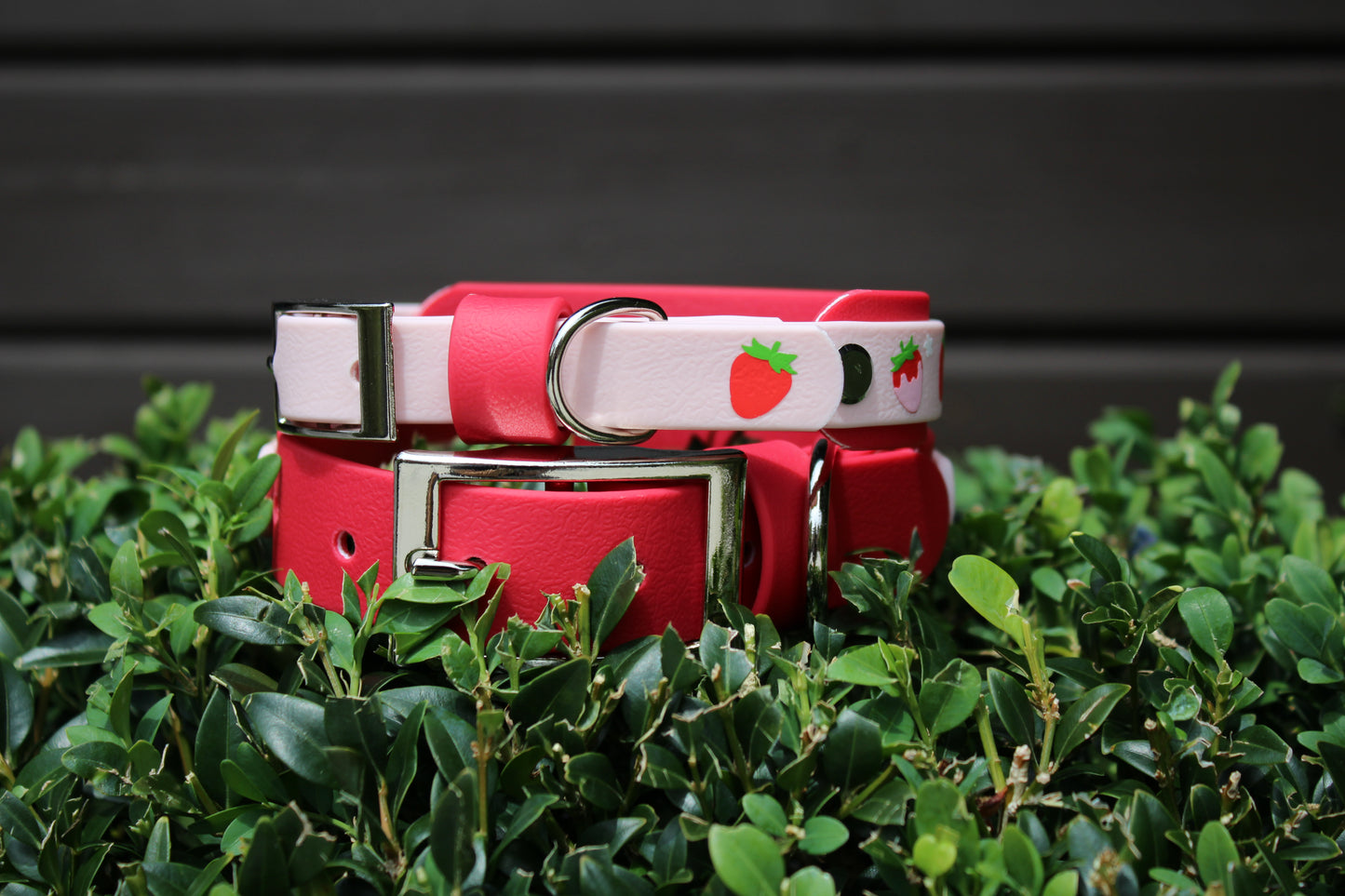 Strawberry Bliss Collar