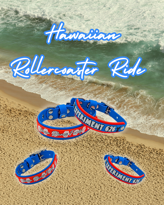 Hawaiian Rollercoaster Ride Collars