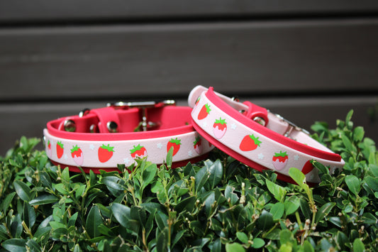 Strawberry Bliss Collar