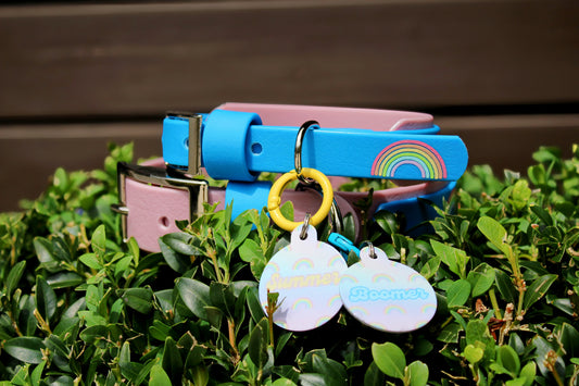 Rainbow Tag