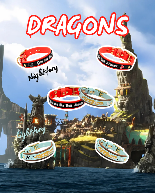 Dragons Collars