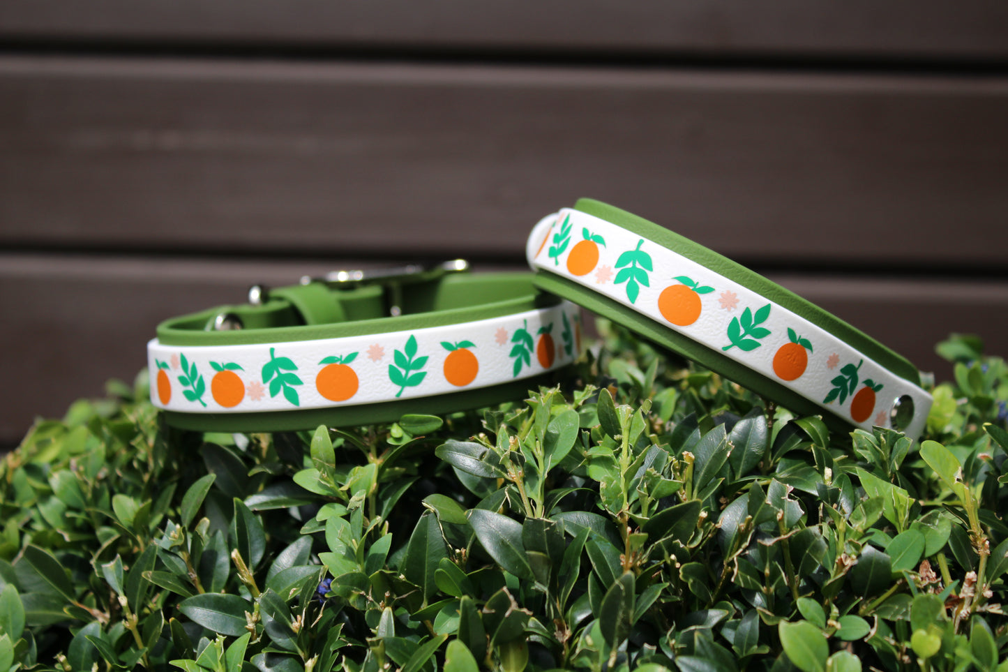 Orange Dreams Collar